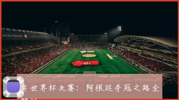 年世界杯决赛：阿根廷夺冠之路全解析