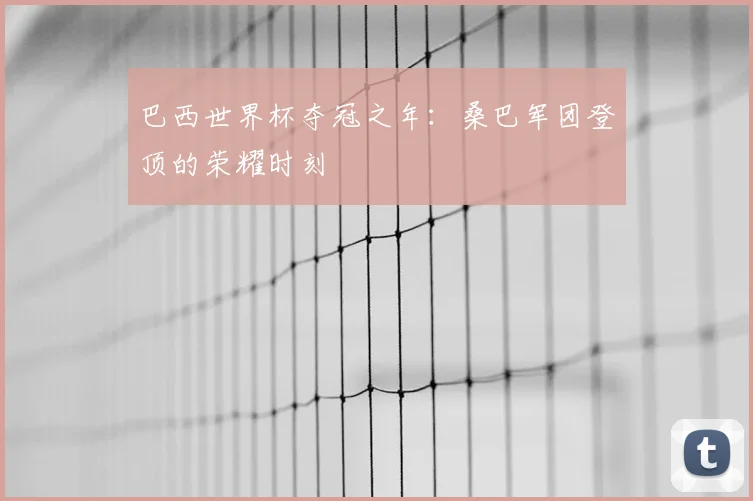 巴西世界杯夺冠之年：桑巴军团登顶的荣耀时刻